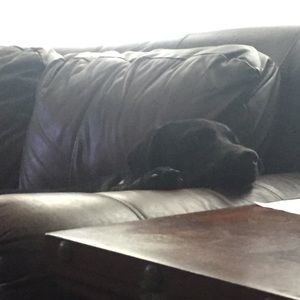 Meet your Posher, Olivia